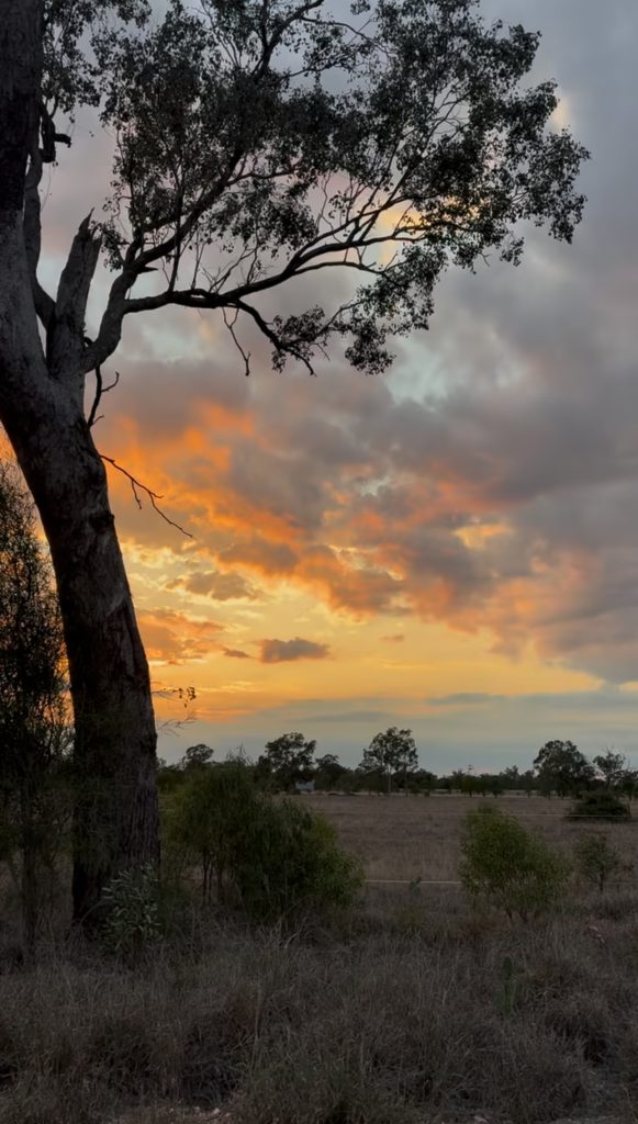 Colourful sunset behind trees in Australian landscape